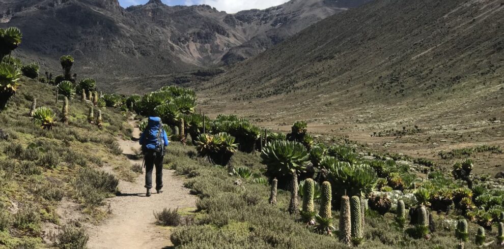 trekkingmtkenya